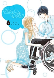 Perfect World Vol. 4 (Rie Aruga)