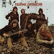 Who Knows Where the Time Goes? - Fairport Convention