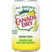 Canada Dry Sparkling Seltzer Water Lemon Lime
