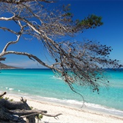 Saleccia Beach, Corsica