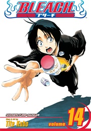 Bleach Volume 14 (Tite Kubo)