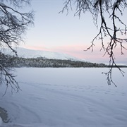 Pallas-Yllästunturi National Park