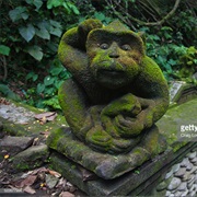 Balinese Macaque