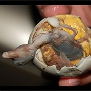 Balut (Embryo)