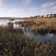 Lodmoor