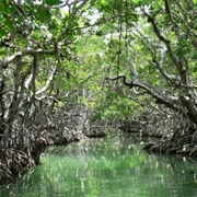 Florida Everglades - United States