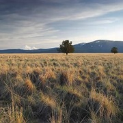 Butte Valley National Grassland