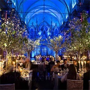 Enchanted Forest Theme