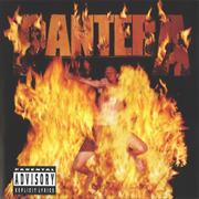 Pantera - Reinventing the Steel