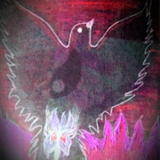 Black Dove Angelina Jensen