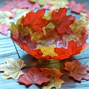 Selfmade Leaf Bowl