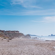 Pelican State Beach, California
