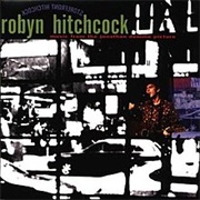 Robyn Hitchcock - Storefront Hitchcock