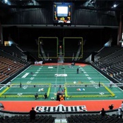 Jacksonville Veterans Memorial Arena-Jacksonville Sharks