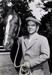 National Velvet (TV Series)