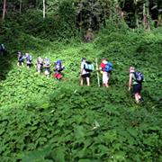 Walk the Kakoda Track