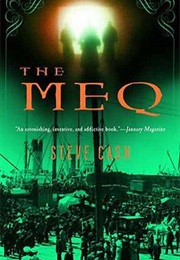 The MEQ (Steve Cash)