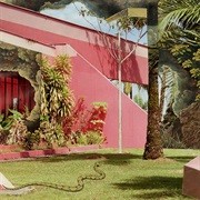 666- Sugar Candy Mountain