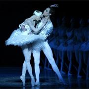 Swan Lake, Bratislava