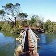 A.H Reed Memorial Kauri Park and Waimahanga Walkway, Northland