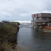 Visit the D River -- Shortest River in the World