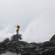 Storm Watch on Vancouver Island