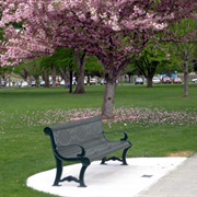 Howard Amon Park (Richland)