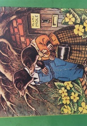 Mr Mole Takes Charge (Jane Pilgrim)