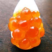 Salmon Roe