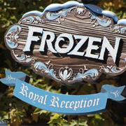 Frozen Royal Reception