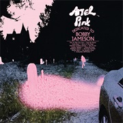 Ariel Pink, Dedicated to Bobby Jameson