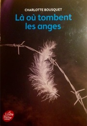 Là Où Tombent Les Anges (Charlotte Bousquet)