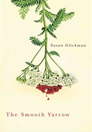 The Smooth Yarrow (Susan Glickman)
