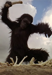The First Tool- 2001 a Space Odyssey (1968)