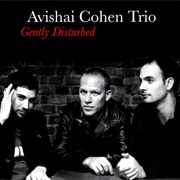 Avishai Cohen Trio - Gently Disturbed