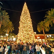 Tree Lighting Ceremony