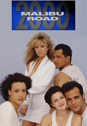 2000 Malibu Road (1992)