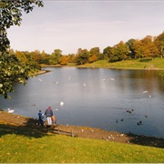 Sefton Park