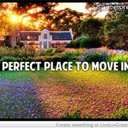 Find the Perfect Place to Move In