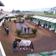 Golden Gate Fields, Albany, CA