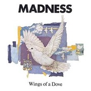 Wings of a Dove- Madness