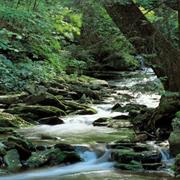 Shawnee National Forest