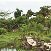 Masoala National Park, Madagascar