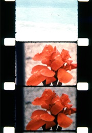 Walden: Diaries Notes and Sketches (1969)