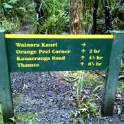 Wainora - Kauaeranga Valley