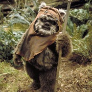 Wicket