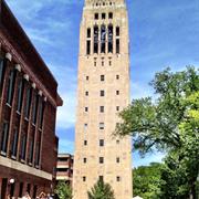 The Top of Burton Tower ("The Clocktower) A2