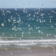 Northumberland Coast AONB, England