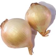 Maui Onion
