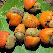 Australian Cashew Nut (Semecarpus Australiensis)
